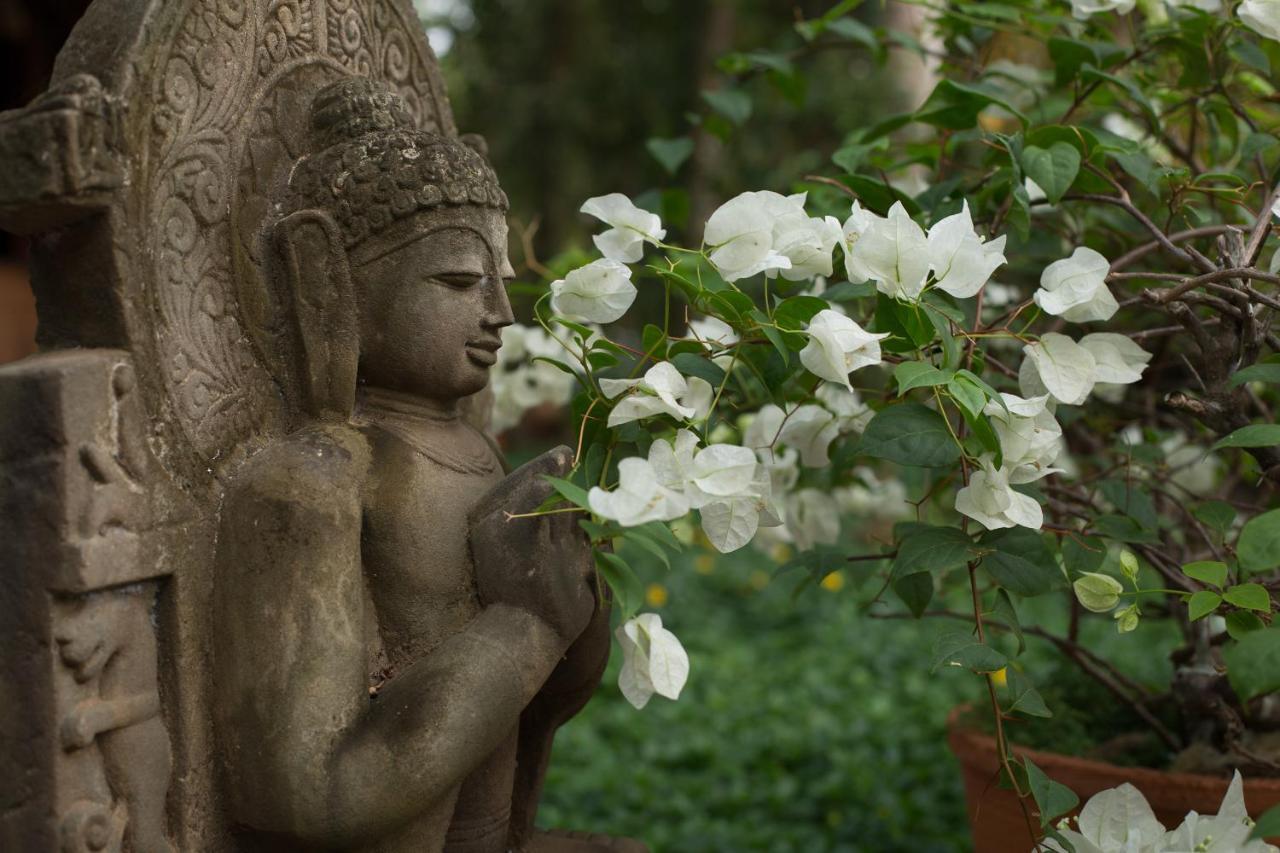 Soma Manaltheeram Ayurveda Beachvillage Kovalam Zewnętrze zdjęcie